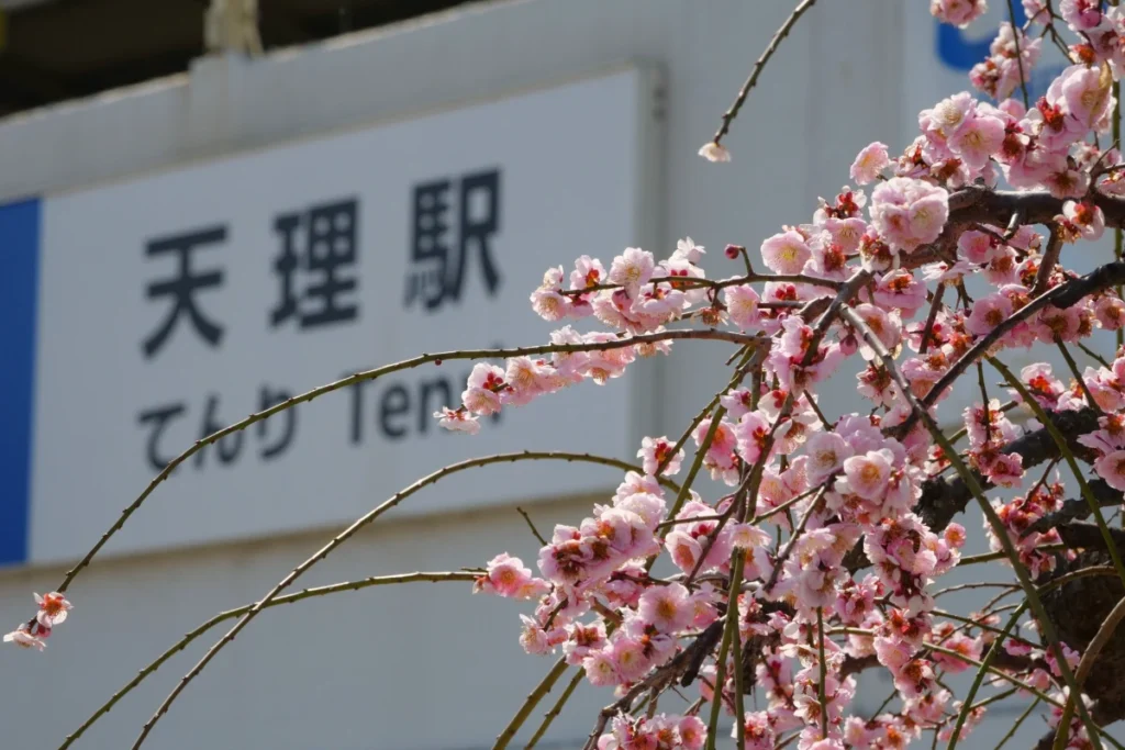 天理駅から天礼会館までの道のり